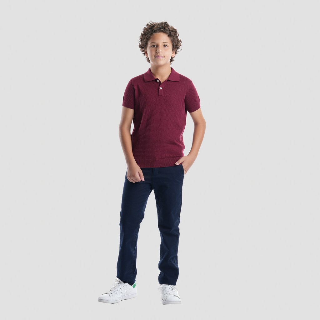 Burgundy Polo Shirt-BPO-93S - Naga Homme