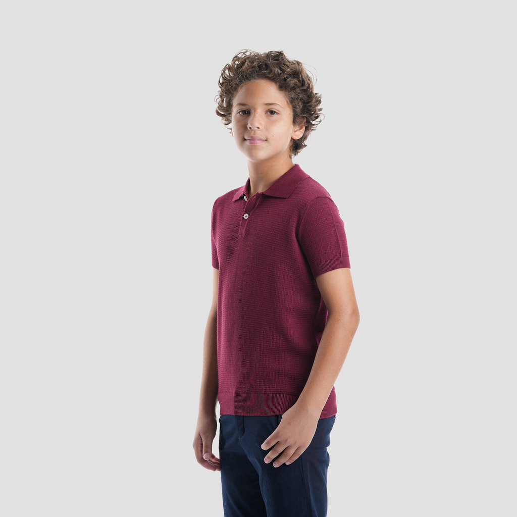 Burgundy Polo Shirt-BPO-93S - Naga Homme