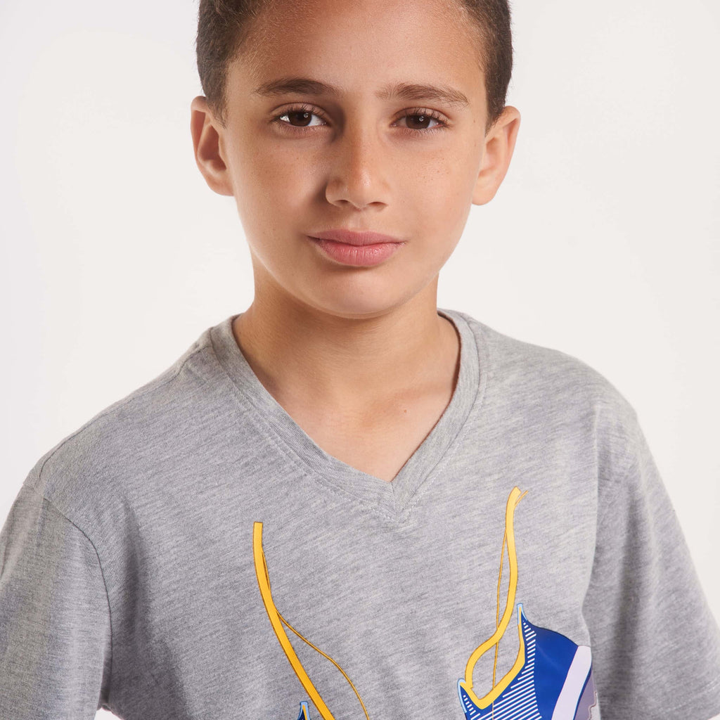 Boys V-neck Printed T-Shirts grey chanee(23) - nagahomme