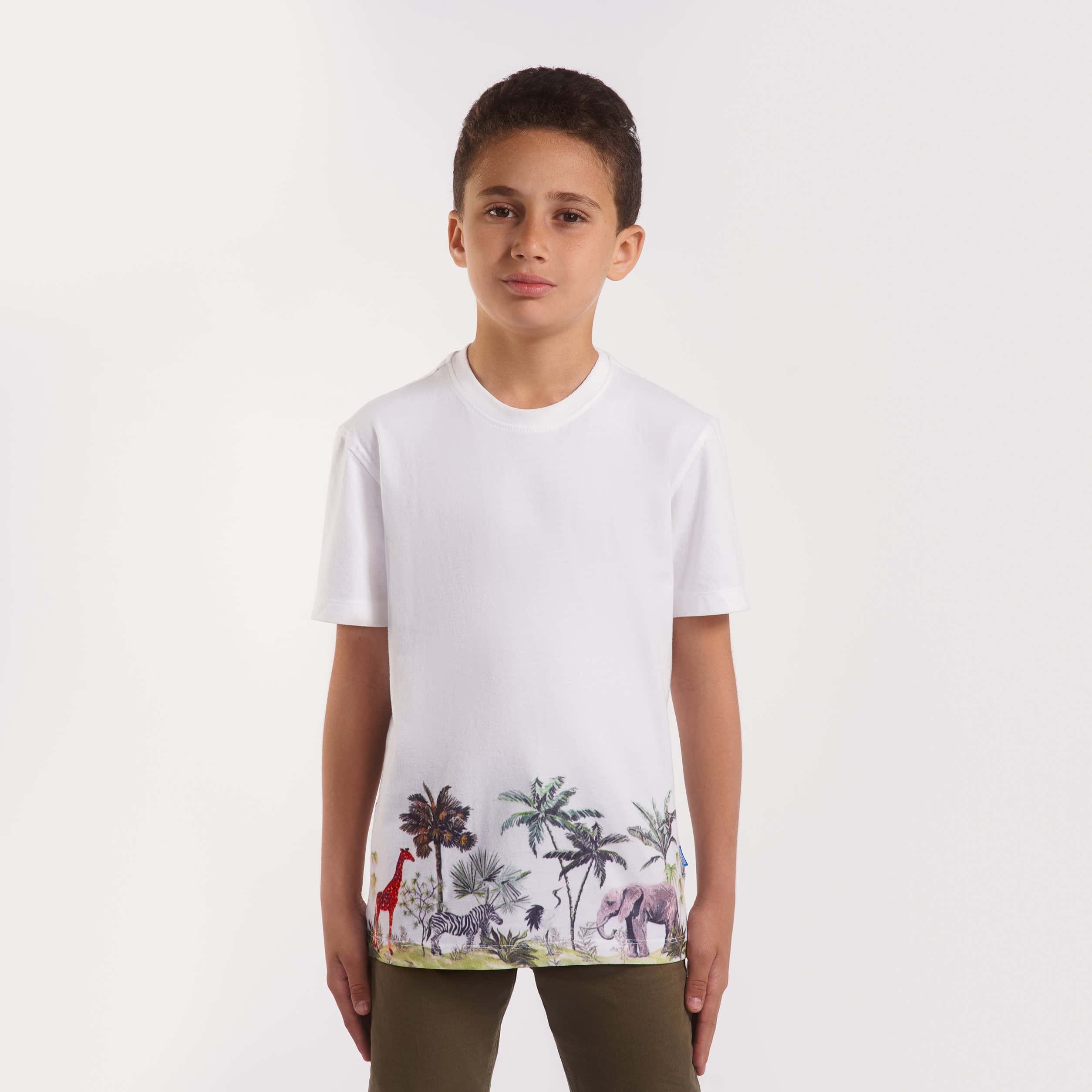Boys Round neck jungle printed T-Shirt(29) - nagahomme