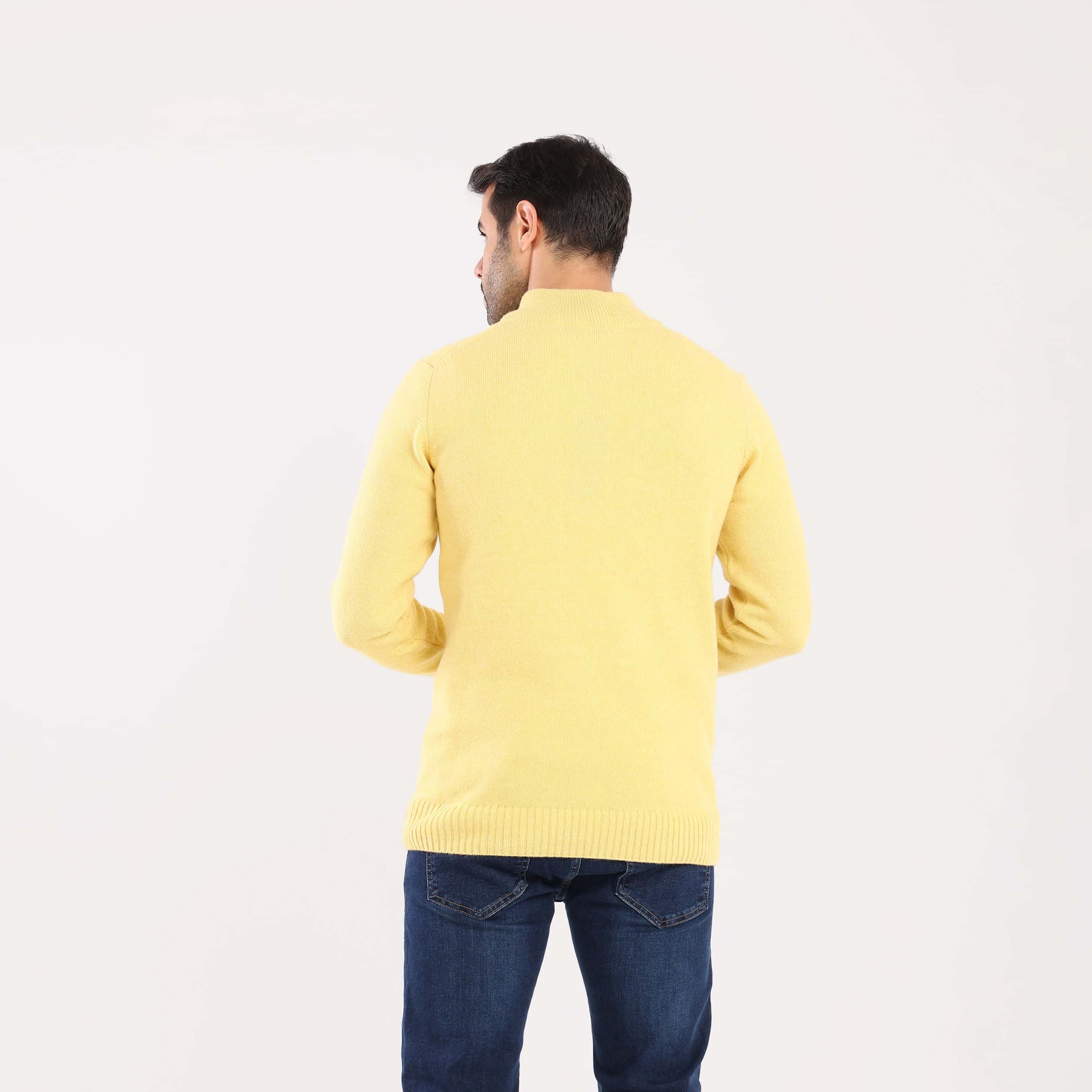Men's Mock Neck Knit Pullover-MPLFSH-26